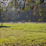 Gemeinschaftswohnung Mit Privaten Zimmern 迪普霍尔茨